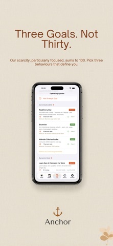 Anchor: Discipline Framework screenshot