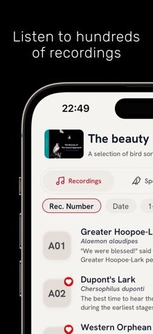 The Sound Approach: Bird Sound screenshot