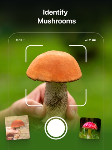 Svampguiden + Identifiering iPad screenshot 1