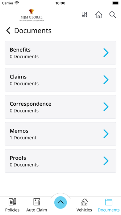 MJM Global Insurance Screenshot