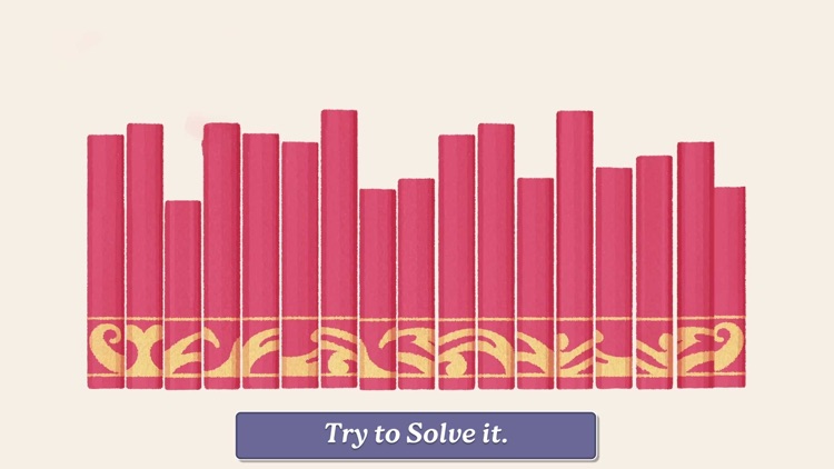 Little to the Organizer Puzzle