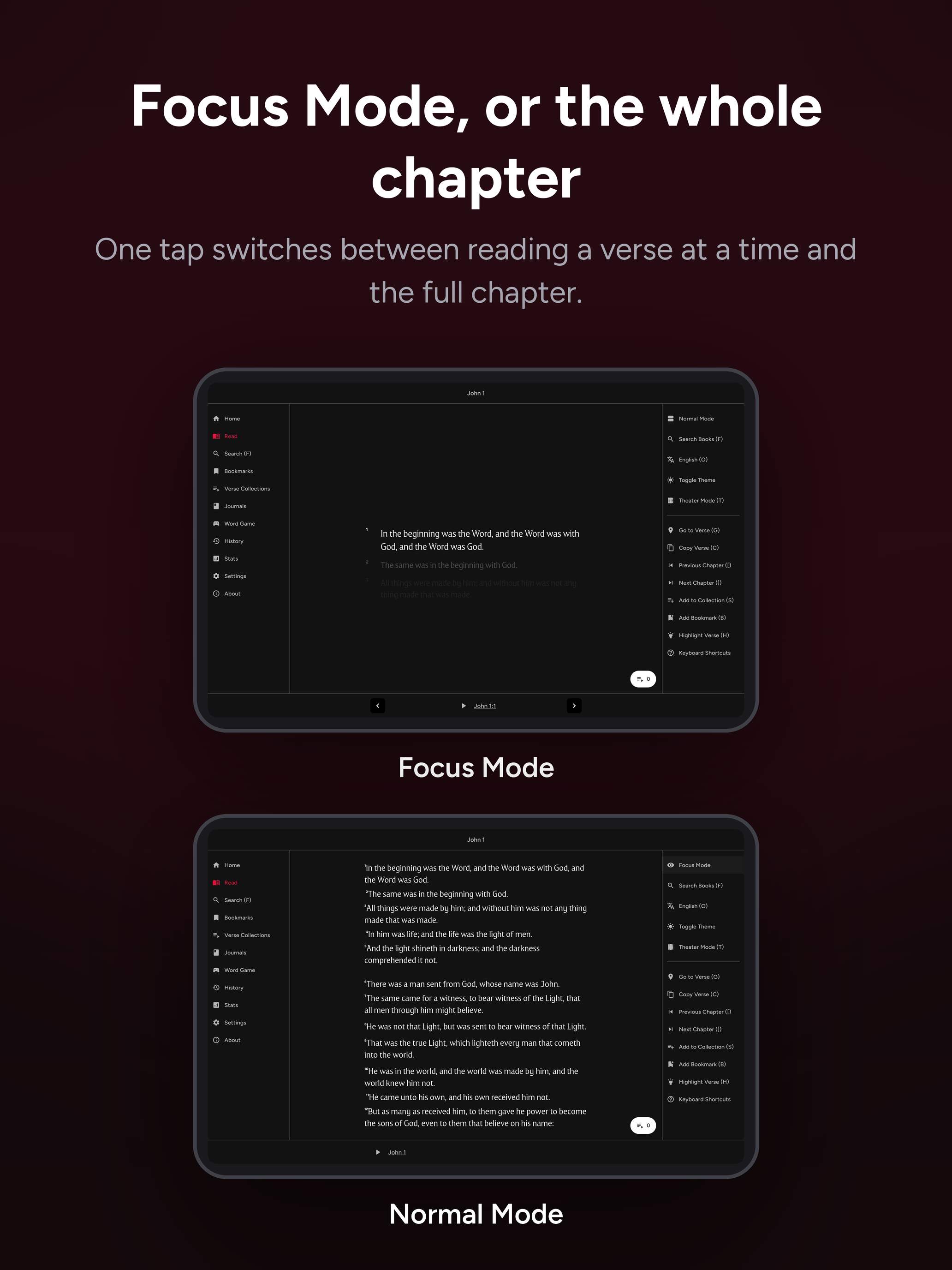 KJV Reader screenshot 7