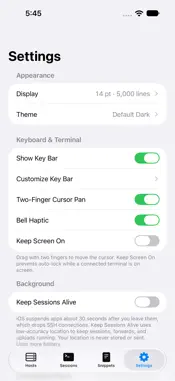 Terminal W screenshot 3