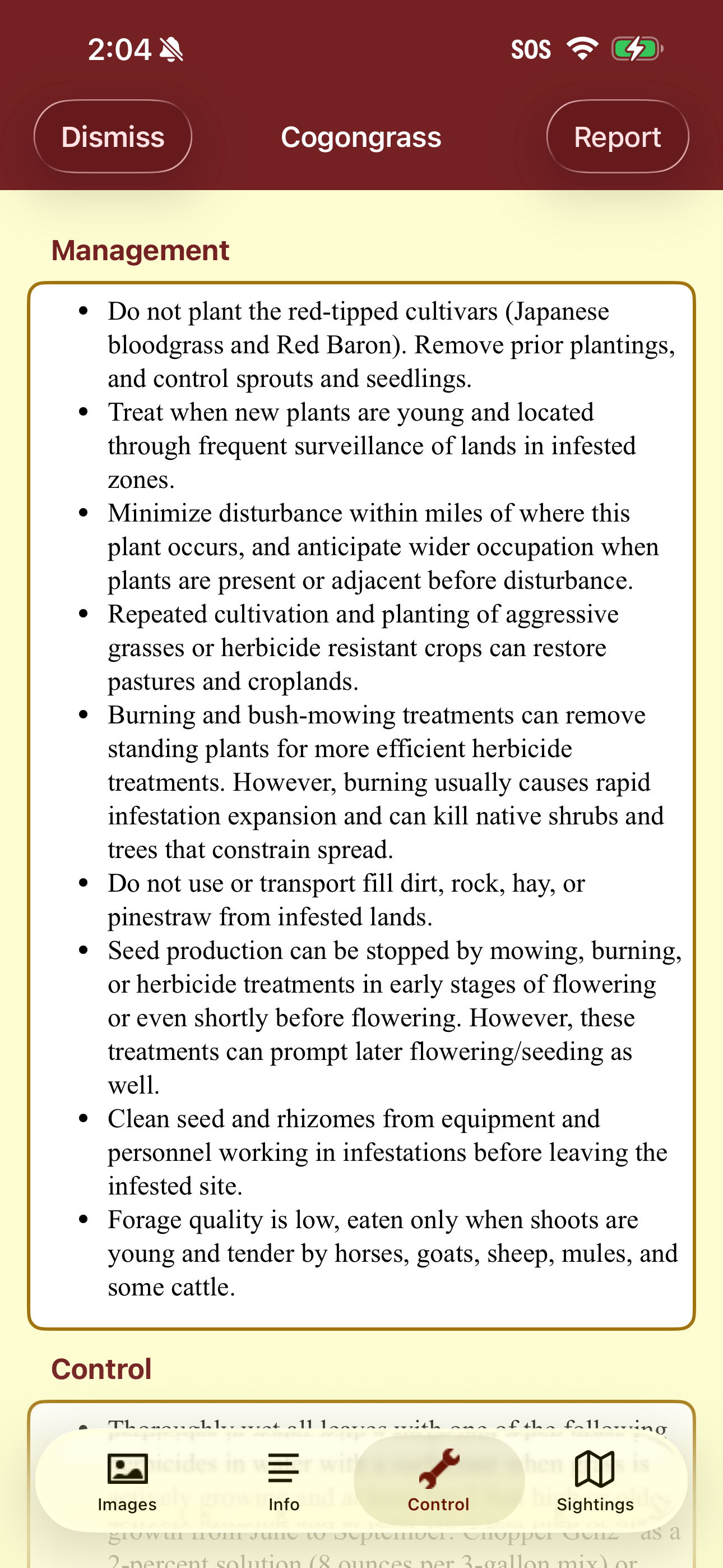 Invasives in Southern Forests
