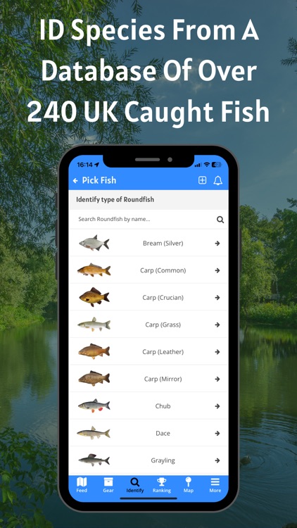 TopRodz screenshot-7