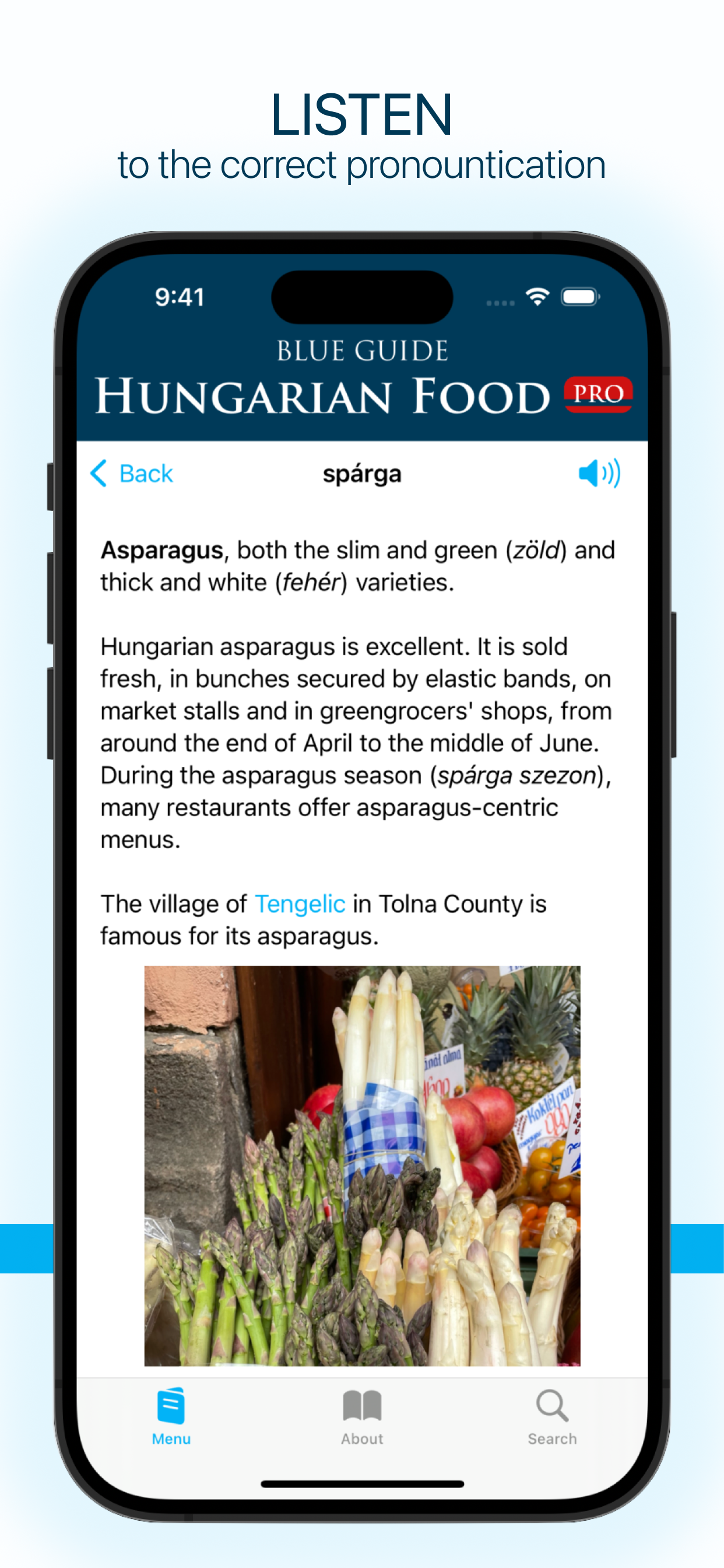 Hungarian Food by Blue Guides screenshot 3