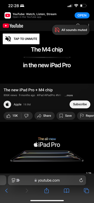 Mute My Browser Screenshot 2 of 2