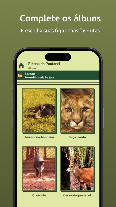 BoRa Parque Ecológico S.Carlos Screenshot