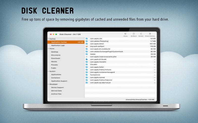 Screenshot #2 pour Disk Cleaner