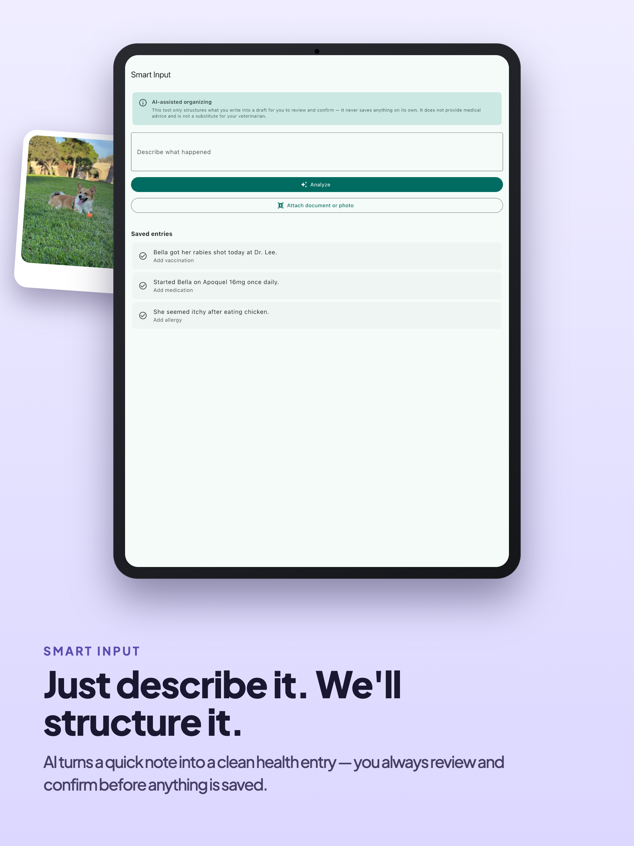 PawVault: Pet Health Records