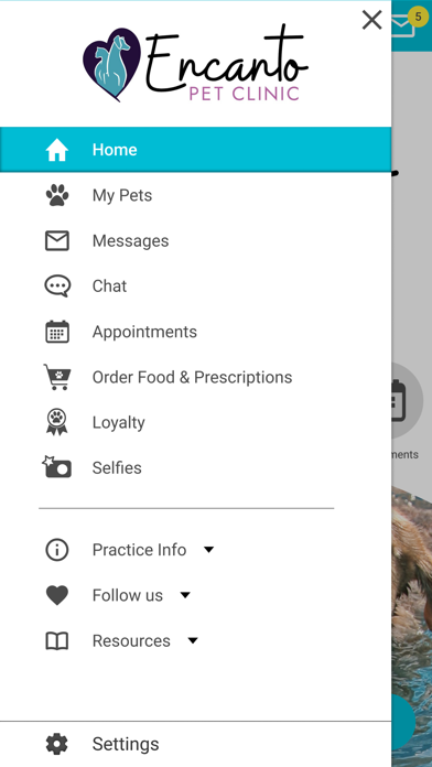 Encanto Pet Clinic Screenshot