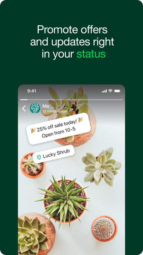 WhatsApp Business App Store screenshot 2, headline “Promote offers and updates right in your status”. App icon shown.