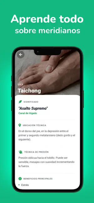Guía de acupuntura en español screenshot 4