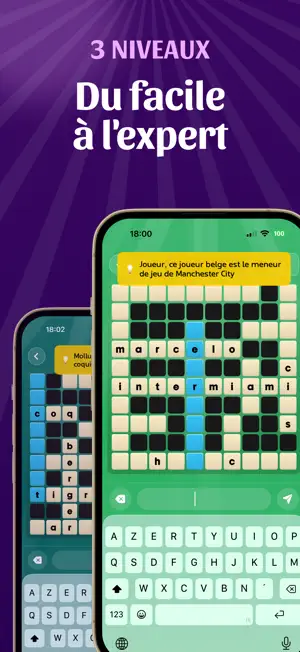 Mots croisés - Français screenshot 2