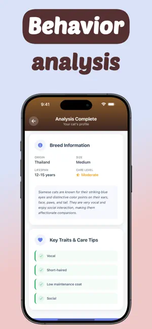 MeowLens: Cat Breed Identifier screenshot 3