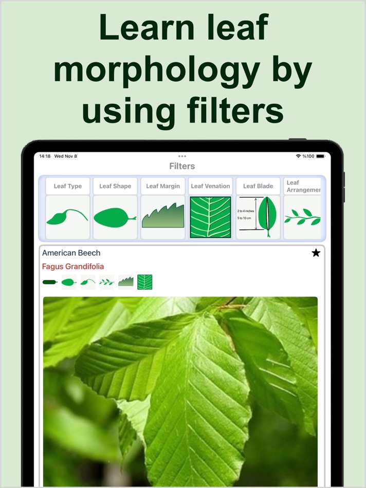 #3. Forest Tree Identification (iOS) Podle: Kesifler Dunyasi Ltd.