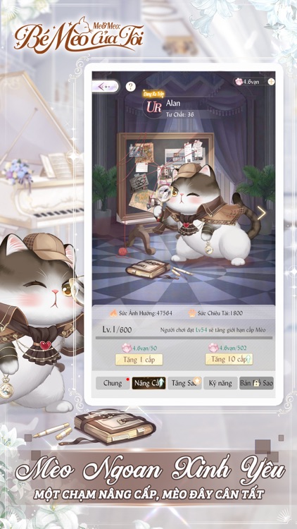 Me&Meo: Bé Mèo Của Tôi