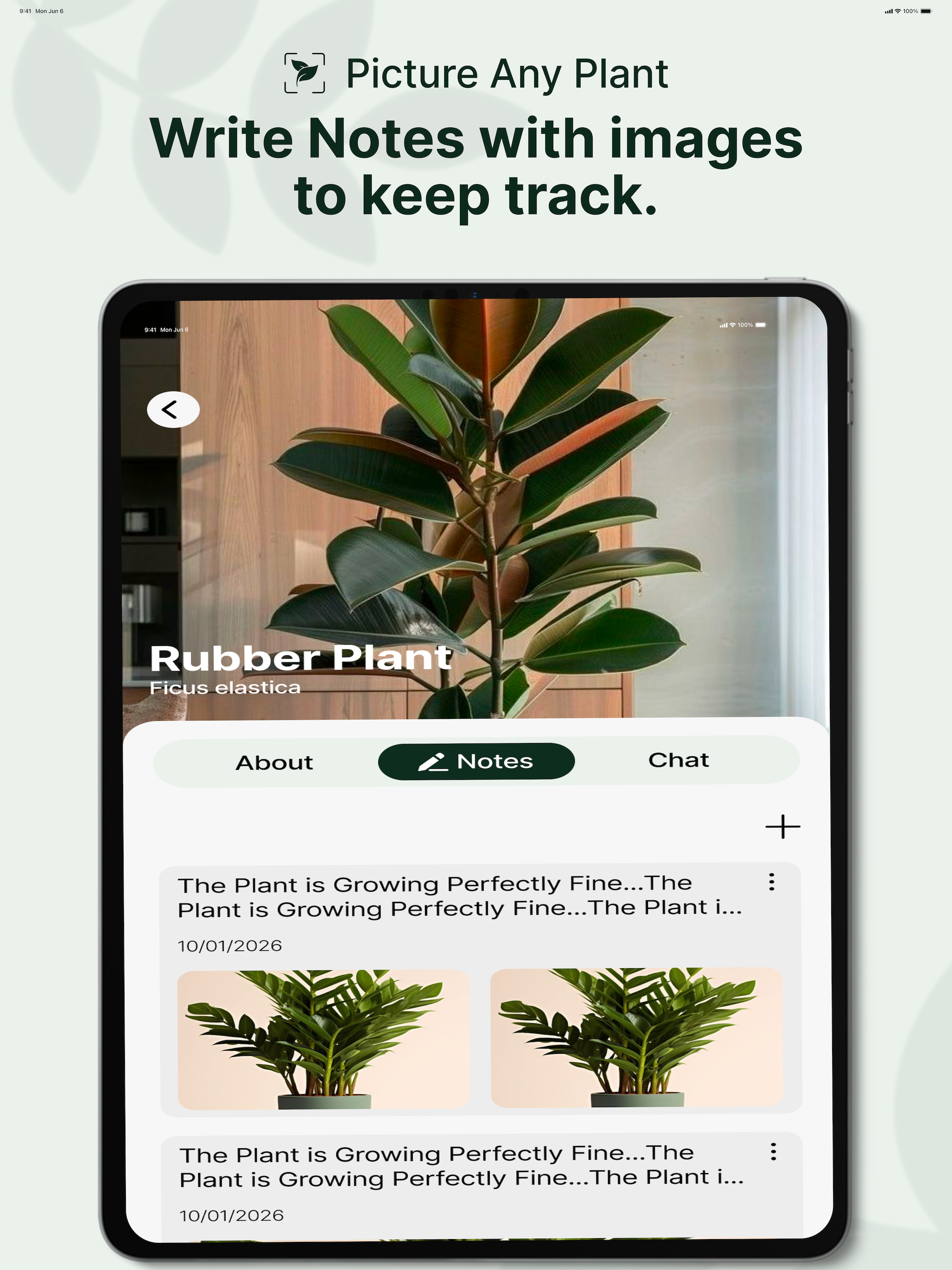Picture Any Plant & Identify screenshot 17