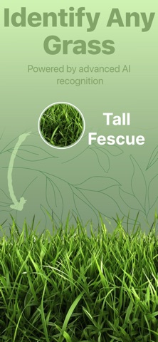 Grass Identifier Grass Scanner Screenshot 1 of 7