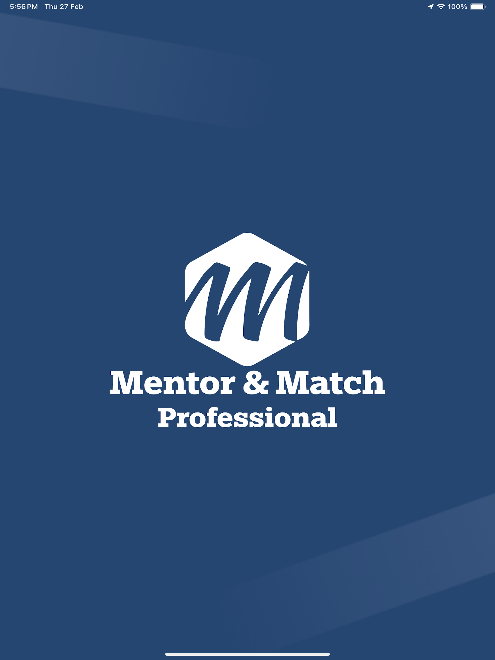 Mentor & Match Professional