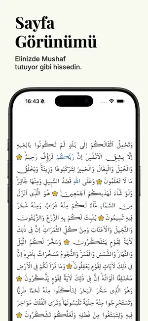 Tevhid Meali iPhone screenshot 2