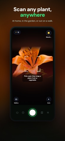 Pet Safety: Plant Checker iPhone screenshot