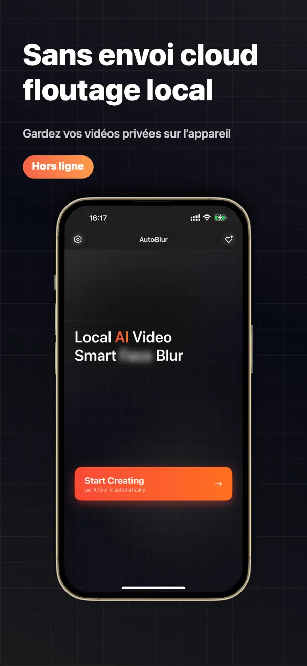Screenshot #3 pour AutoBlur - Flouter vidéo