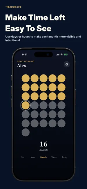 Treasure Life Countdown Widget screenshot 3