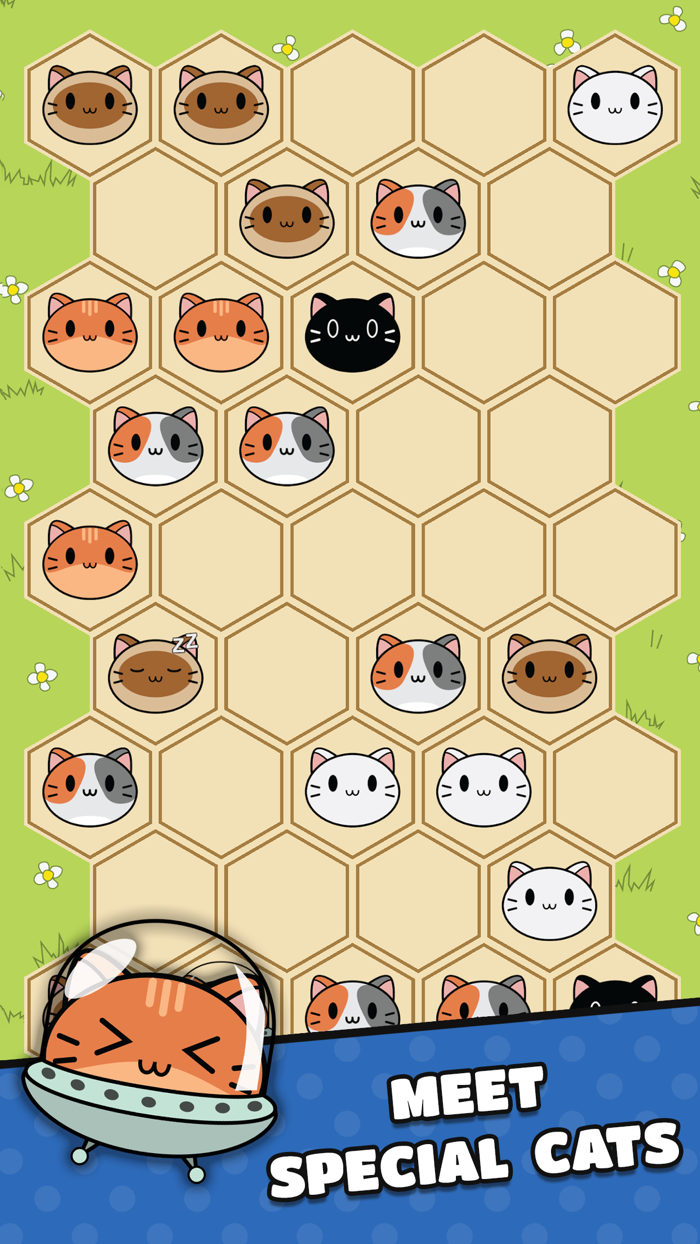 Cute Puzzle Hex Cat