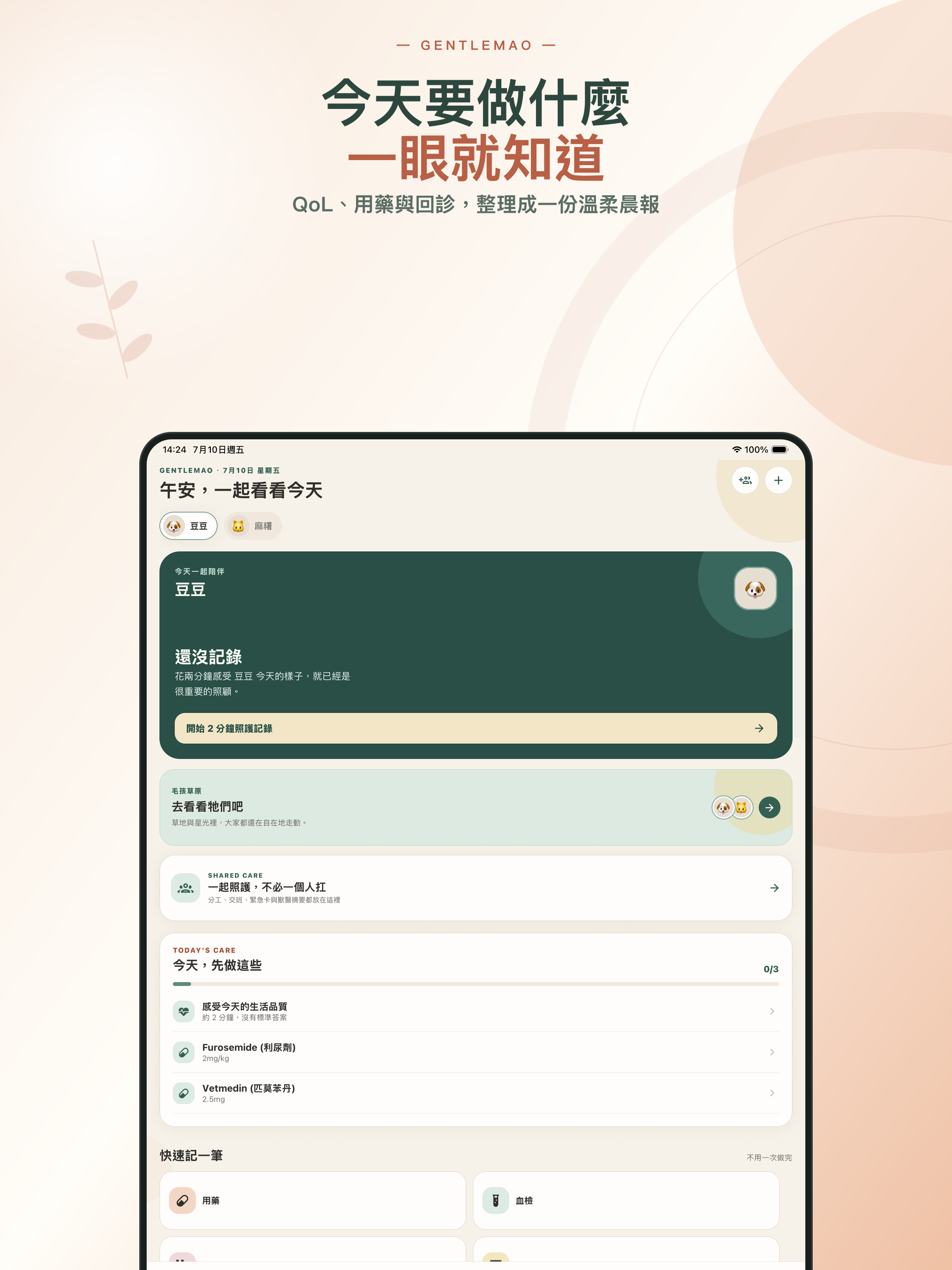 GentleMao screenshot 9