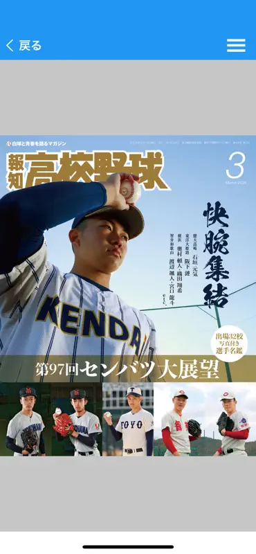 報知高校野球（ほうちこうこうやきゅう） screenshot 1 of 5
