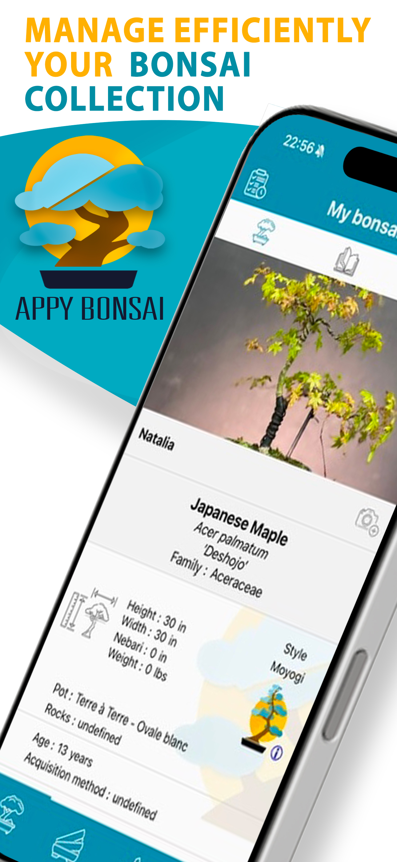 Appy Bonsai - Bonsai Care