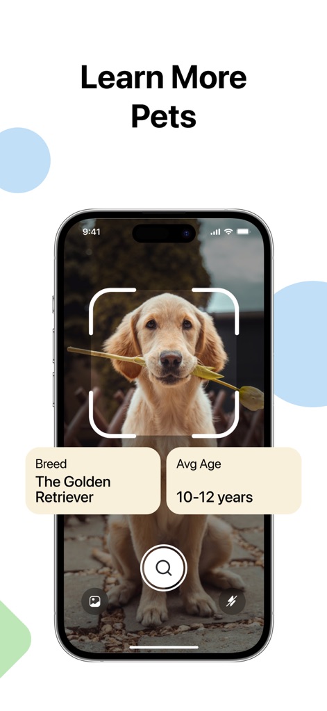 Lens - Photo Scan, Identifier - Questo screenshot illustra come l'app fornisca dettagli specifici sugli animali domestici, mostrando la razza Golden Retriever e l'età media stimata per un'identificazione accurata.