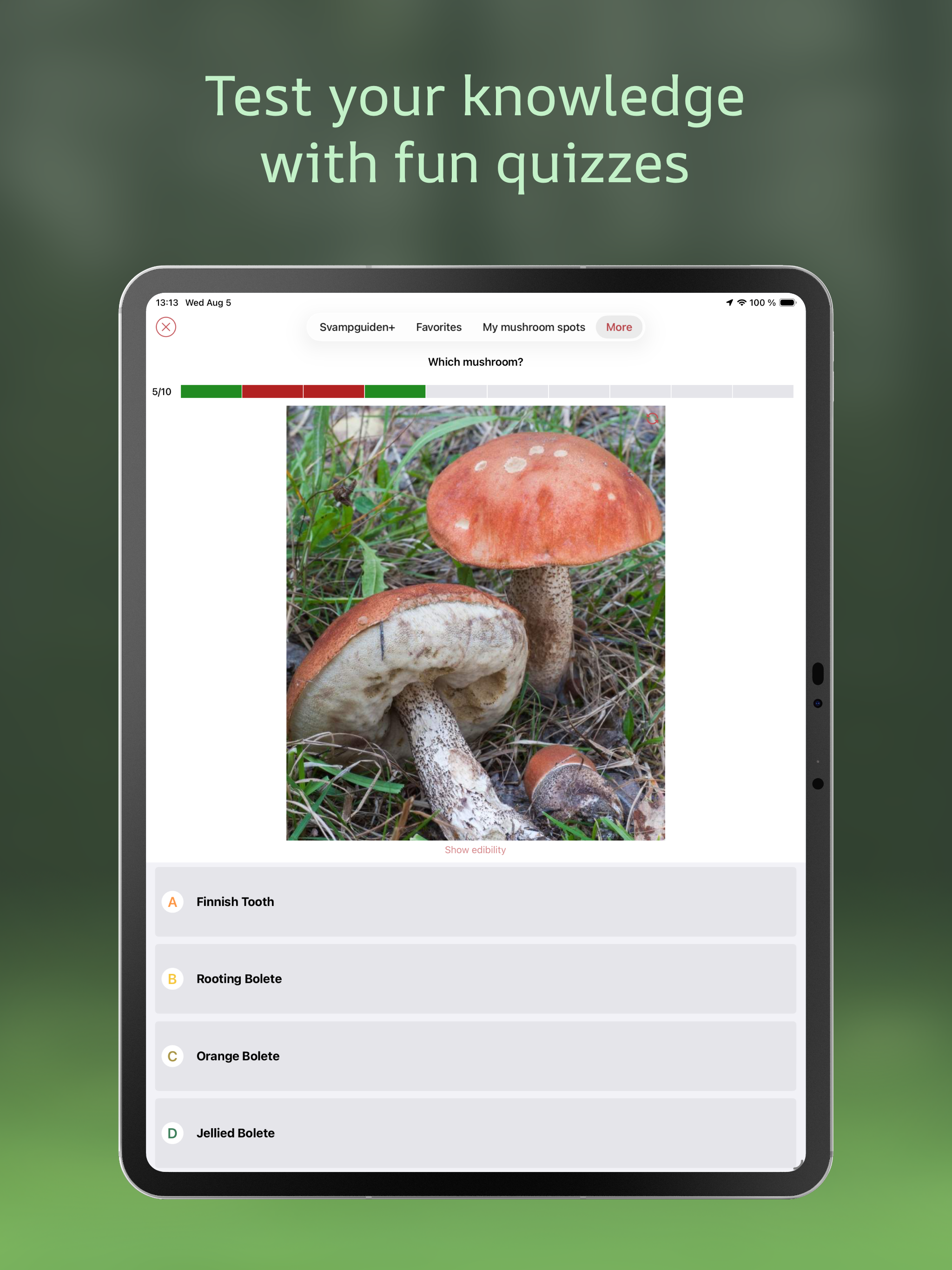 Svampguiden+: Nordic Mushrooms screenshot 17