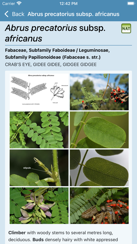 #7. Rainforest Plants 2nd Edition (iOS) Podle: LucidMobile