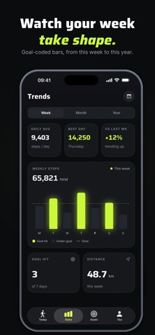 Flyback: Step Counter Screenshot 6 of 10