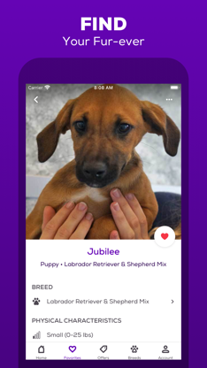 Petfinder - Adopt a Pet screenshot 6