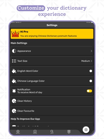 Chinese Simplified Dictionary iPad screenshot