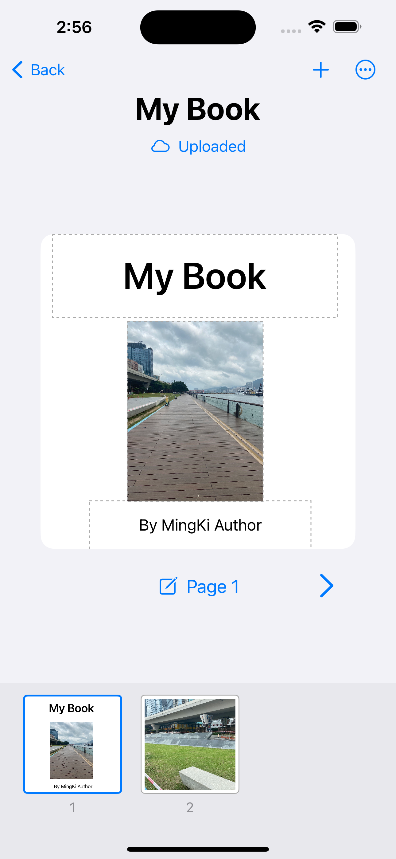 MingKi Author Widgets