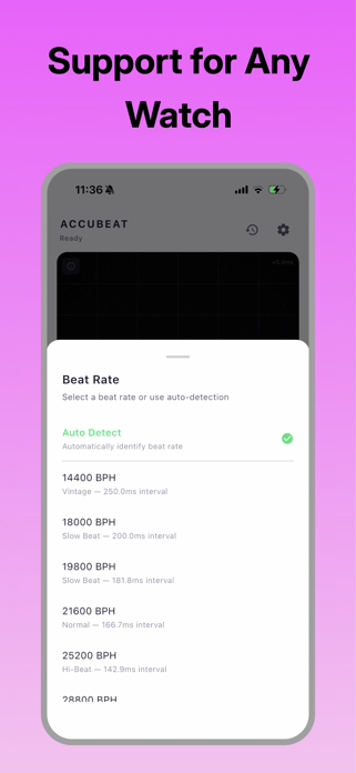 AccuBeat Screenshot 2 of 4