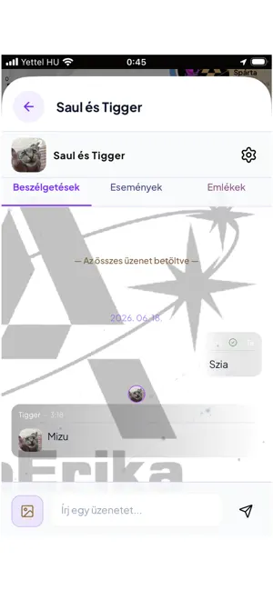 A-mErika screenshot 4