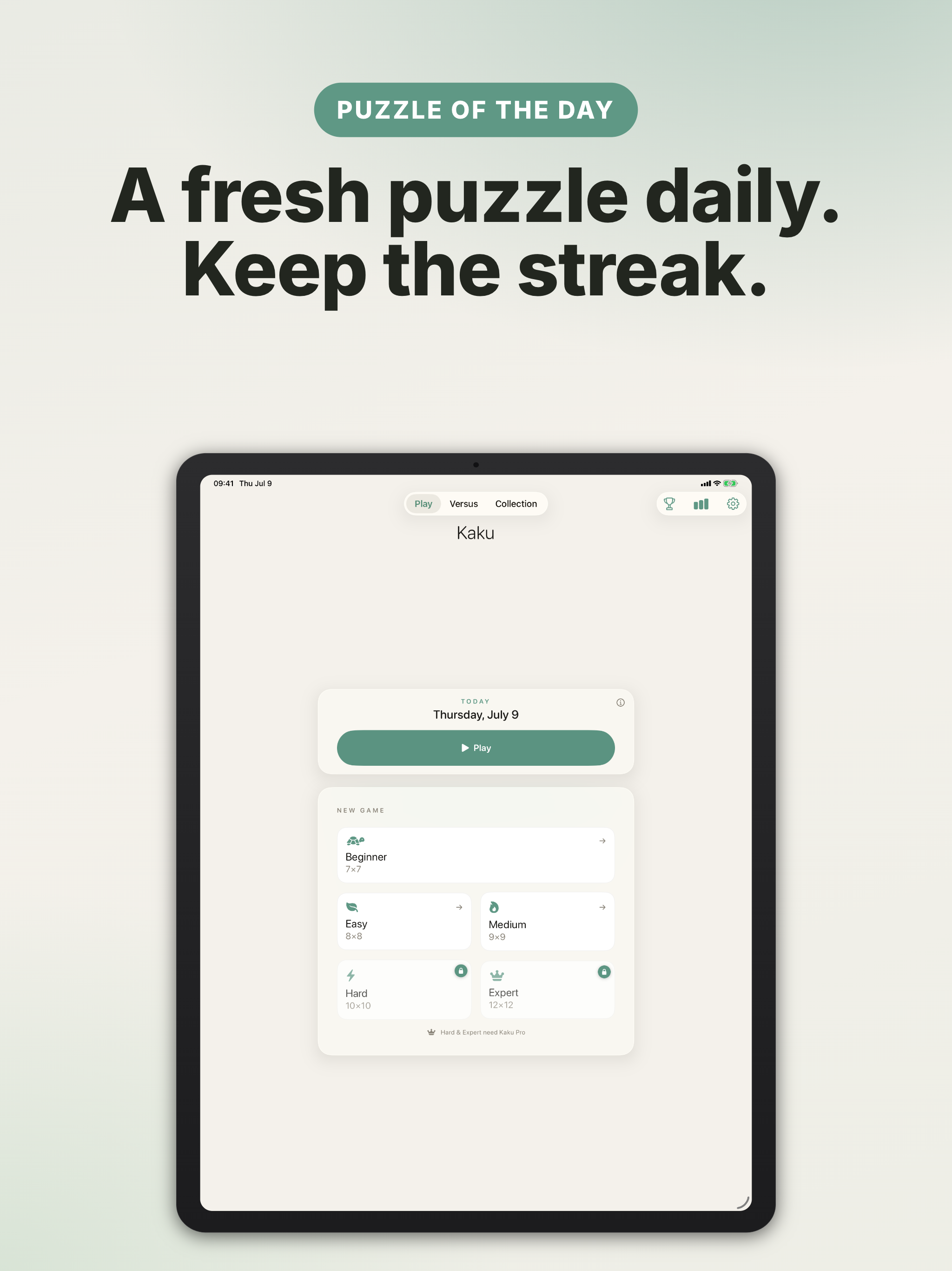 Kaku - Shikaku Puzzle screenshot 10