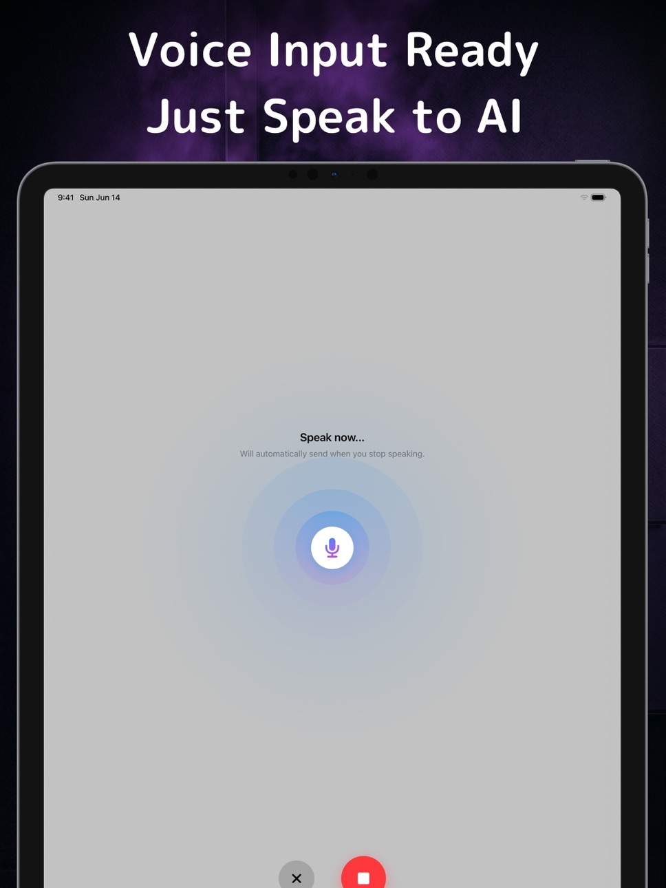 iPad screenshot