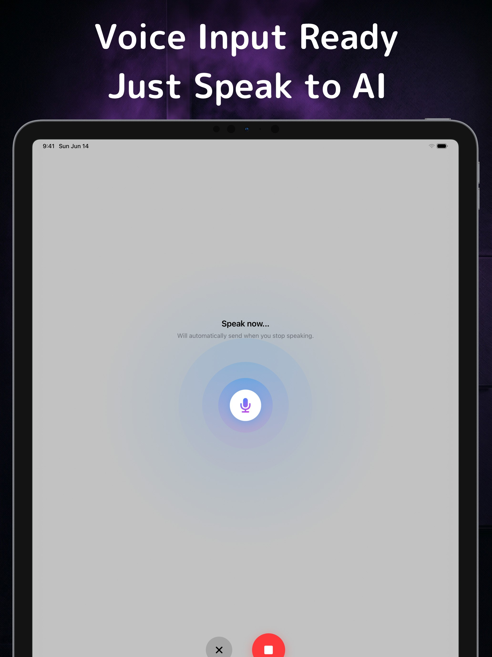 Private AI: Offline Chat Bot