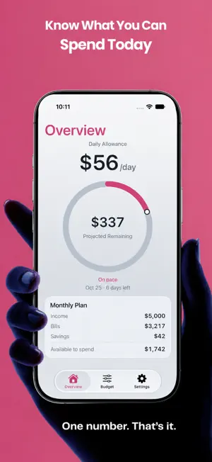 Dead Simple Budget screenshot 1
