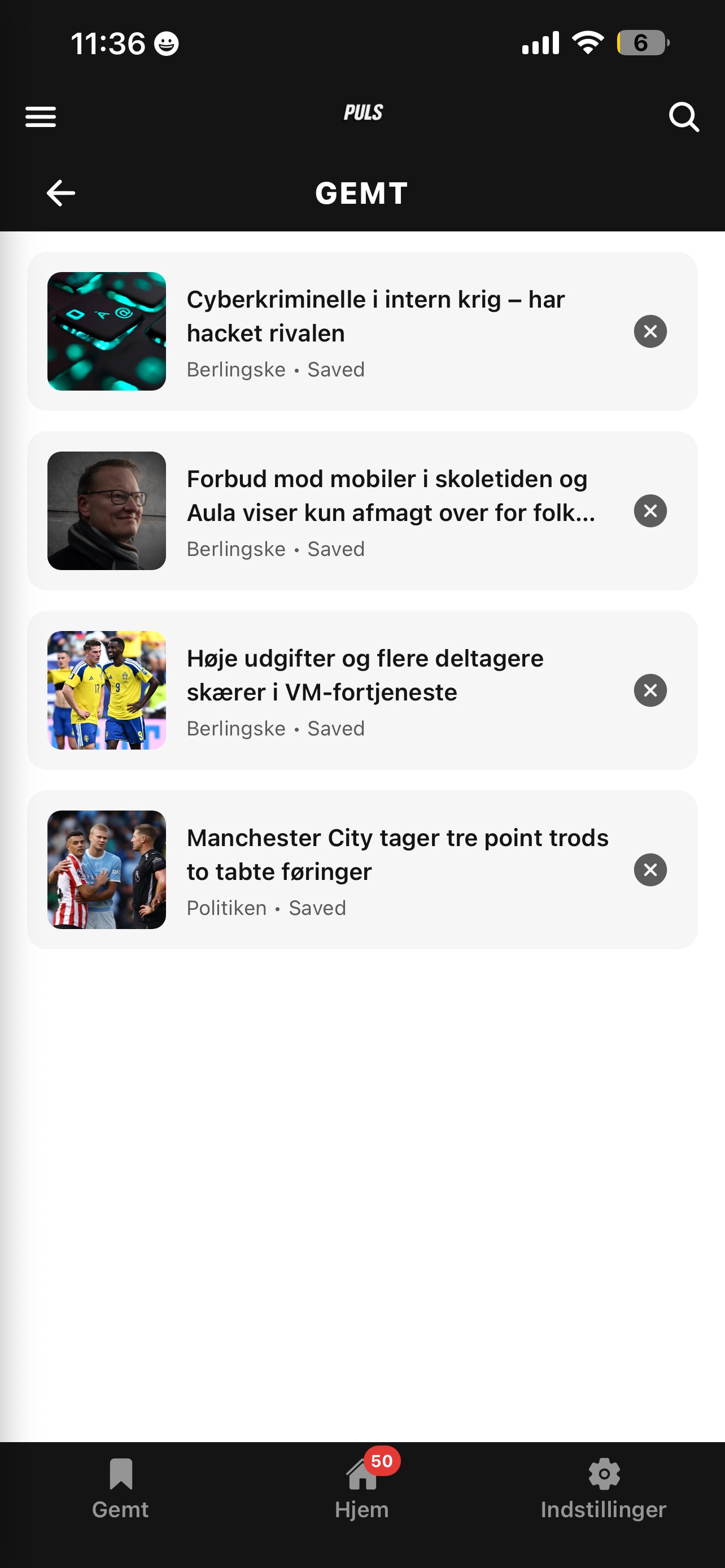 Screenshot 3 of Puls DK