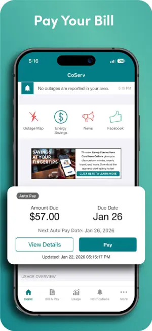 CoServ screenshot 1