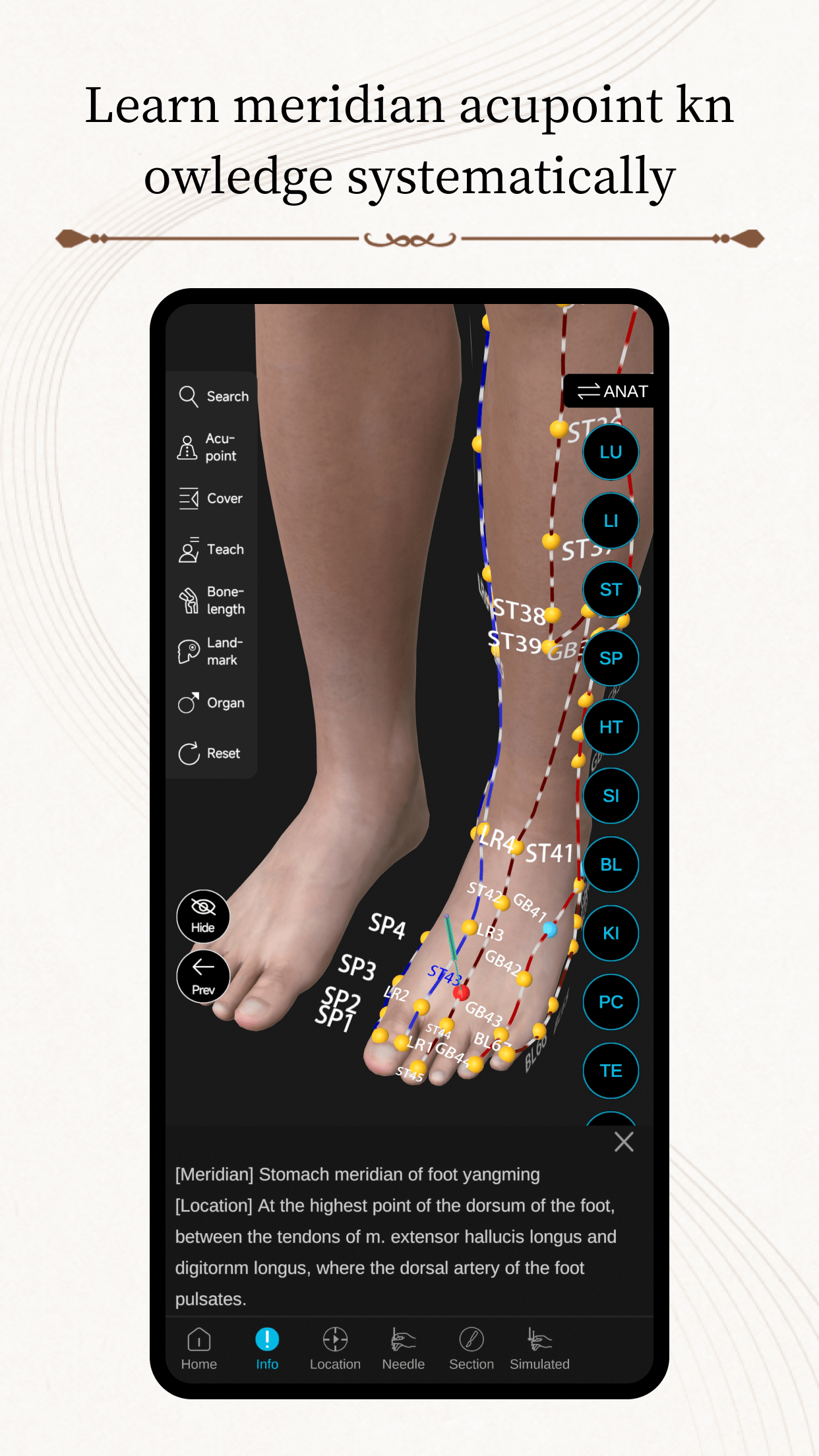 Messavox