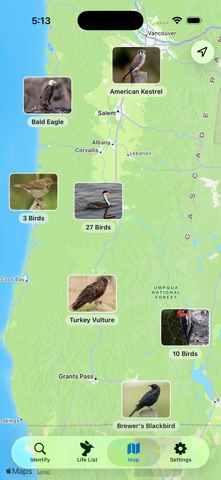 Kestrel: Background Bird ID screenshot