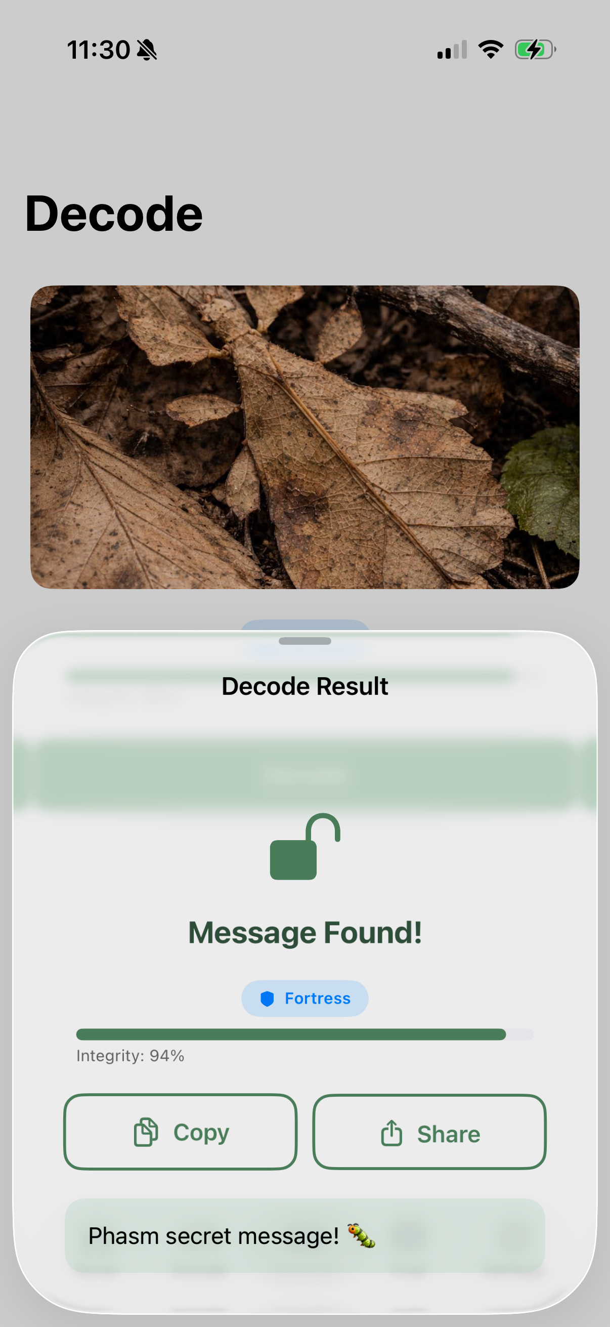 Phasm: Steganography